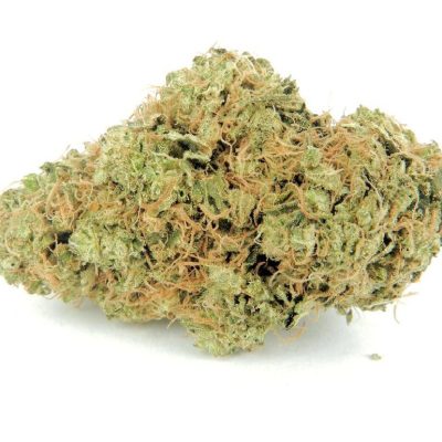 Buy Larry OG Cannabis Strain UK