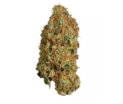 Buy Super Jack Marijuana Strain UK