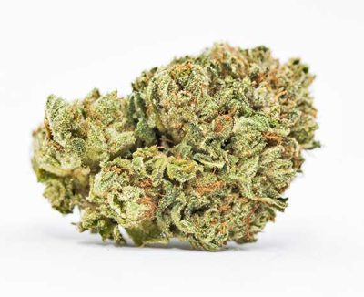 Buy Platinum Cookies Cannabis strain UK