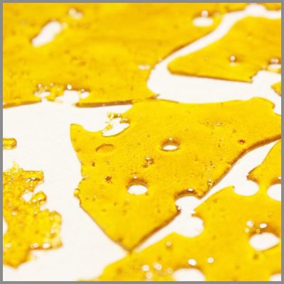 Girl Girl Scout Cookies Shatter UK