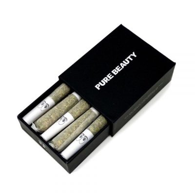 Buy Pure Beauty Babies - Black Box (Hybrid) - 10 Mini Pre-Rolls UK