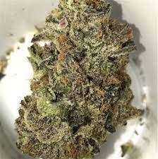 Magnificent Mile Weed Strain